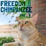 FREEDOM CHIMPANZEE  Podcast / フリーダムチンパンジー ポッドキャスト