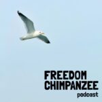 FREEDOM CHIMPANZEE  Podcast / フリーダムチンパンジー ポッドキャスト